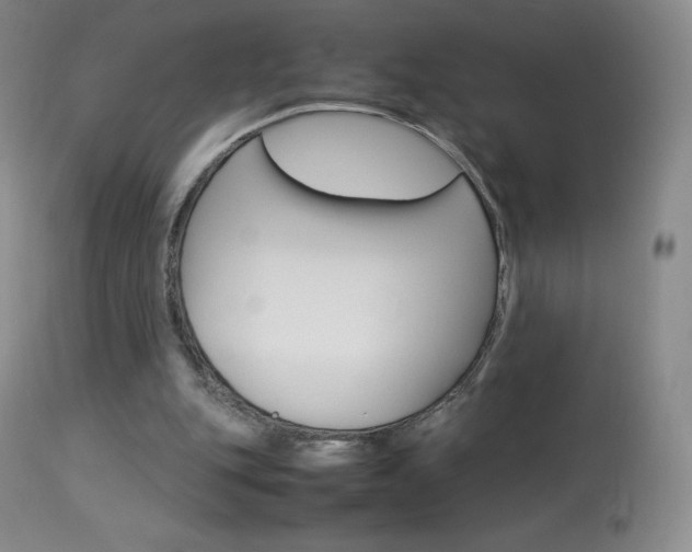 X0000114140151200910081034