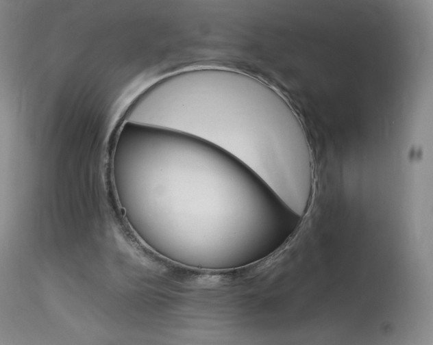 X0000114140152200910081034