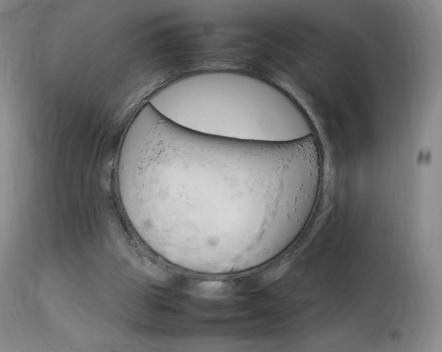 X0000114140153200910081034