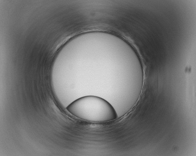 X0000114140154200910081034