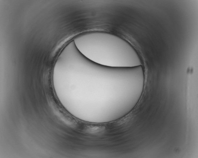 X0000114140155200910081034