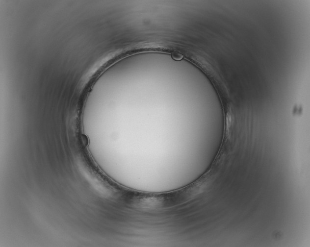 X0000114140156200910081034