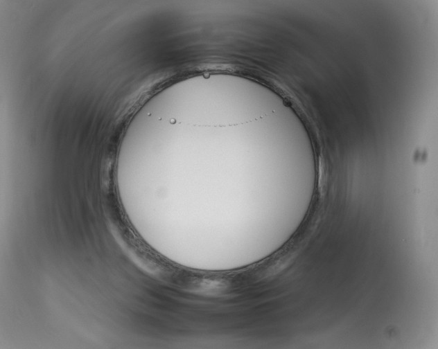 X0000114140157200910081034