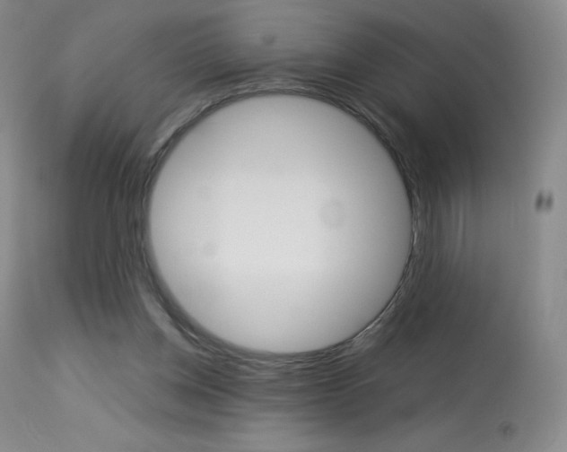 X0000114140158200910081034