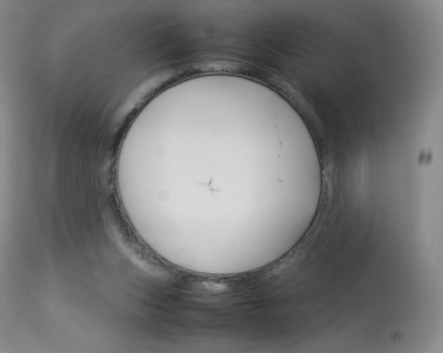 X0000114140159200910081034