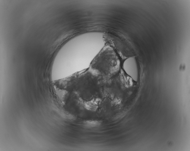 X0000114140161200910081034