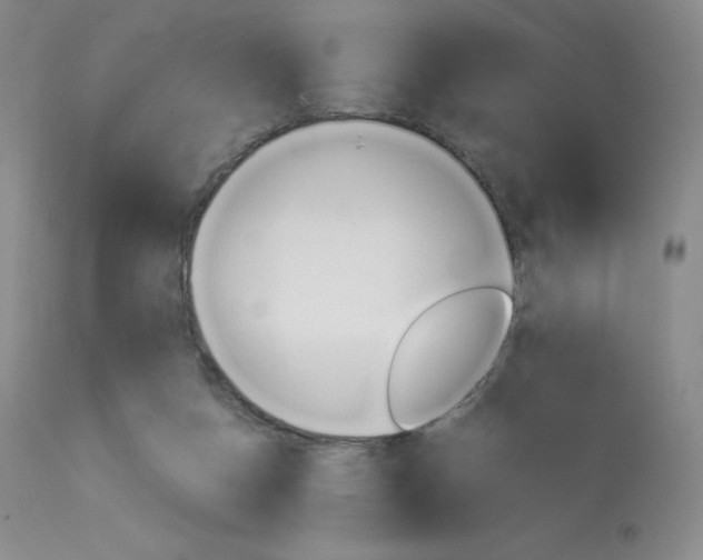 X0000114140162200910081034