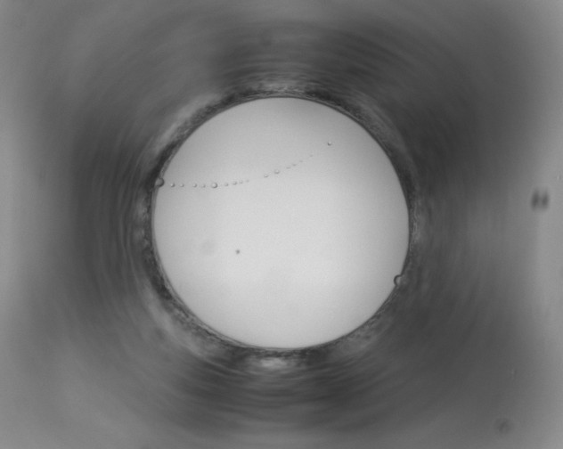 X0000114140163200910081034