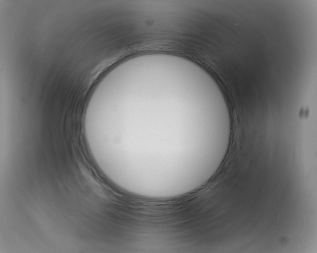 X0000114140164200910081034