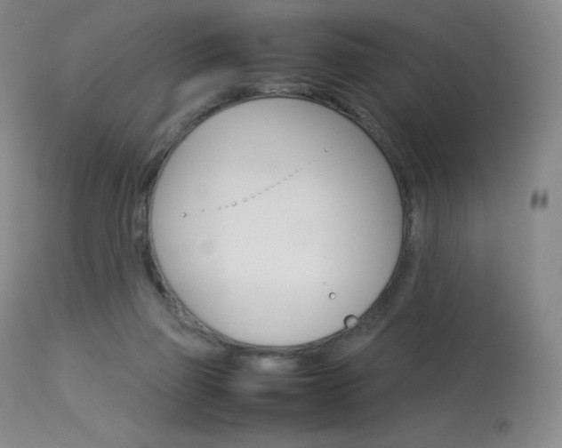 X0000114140165200910081034