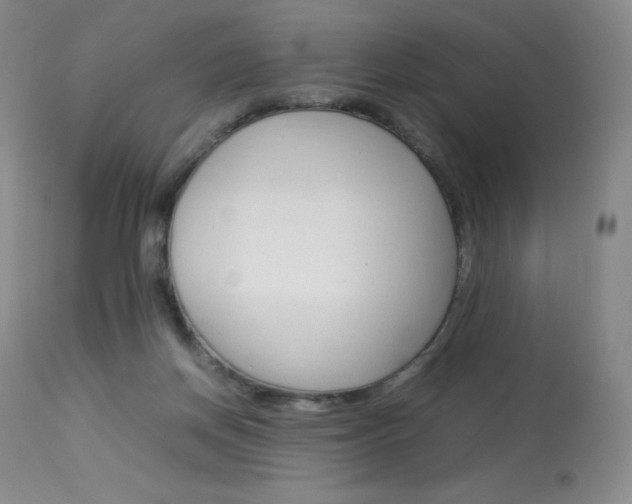 X0000114140166200910081034