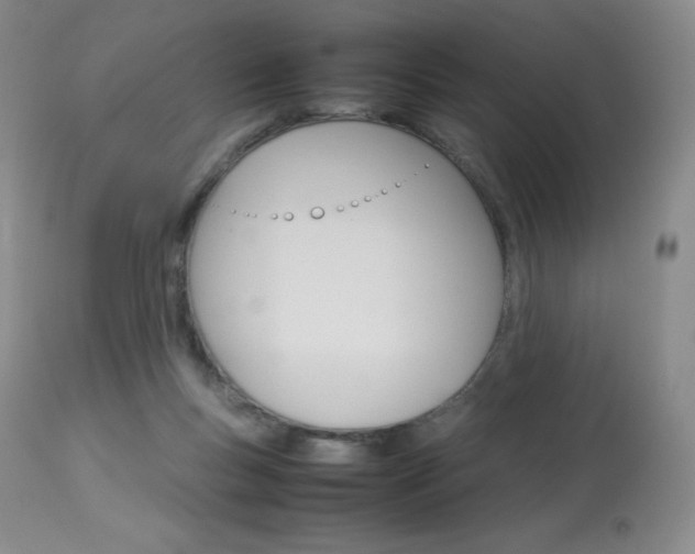 X0000114140167200910081034