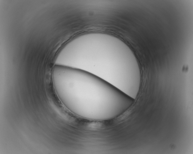 X0000114140168200910081034