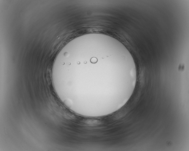 X0000114140169200910081034