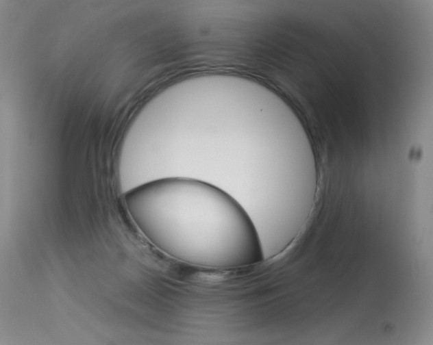 X0000114140170200910081034