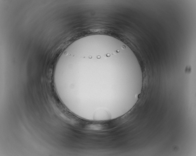 X0000114140171200910081035