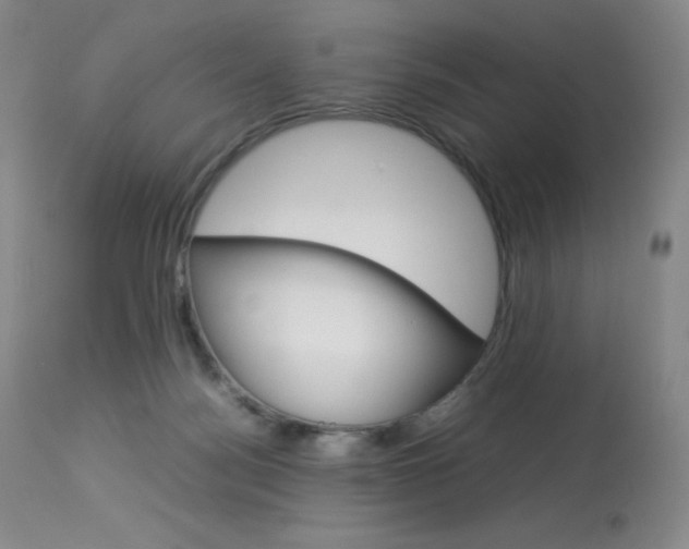 X0000114140172200910081035