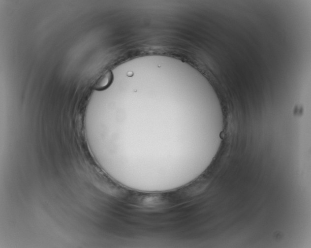 X0000114140173200910081035