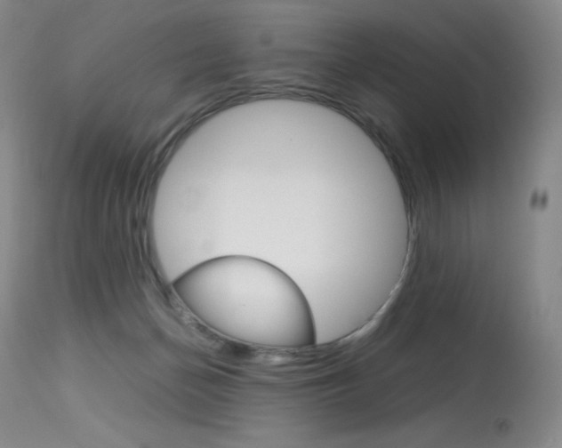 X0000114140174200910081035