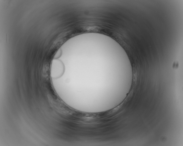 X0000114140175200910081035