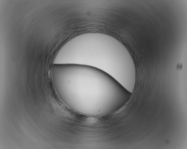 X0000114140176200910081035