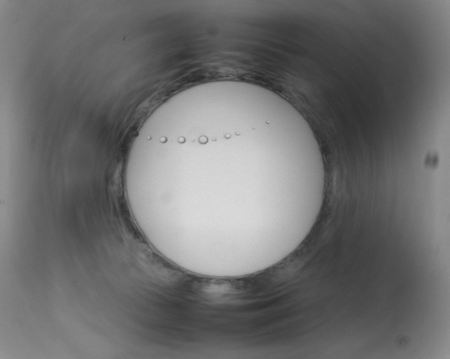 X0000114140177200910081035