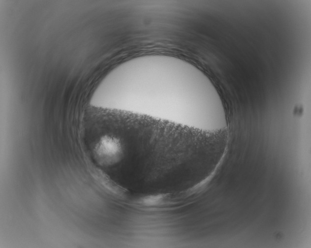 X0000114140178200910081035