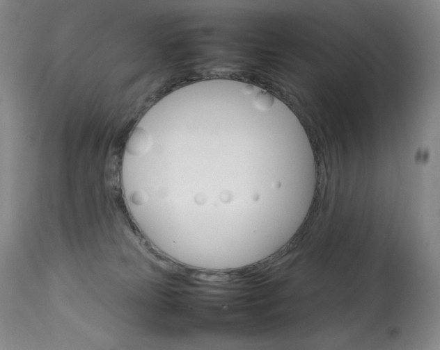 X0000114140181200910081035