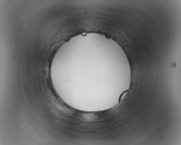 X0000114140183200910081035