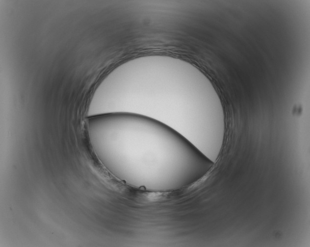 X0000114140184200910081035