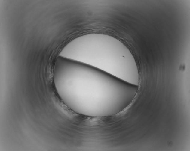 X0000114140186200910081035