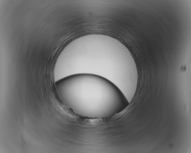 X0000114140188200910081035