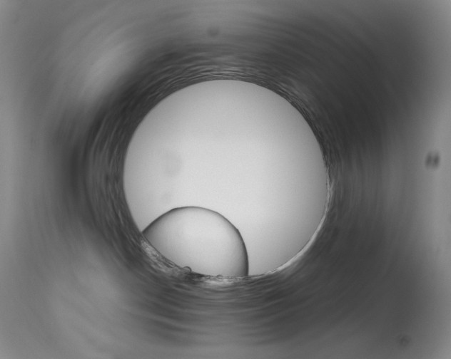 X0000114140190200910081035