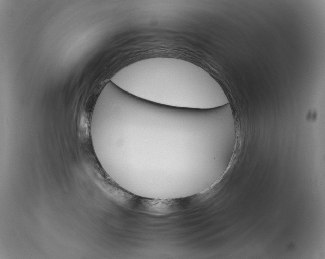 X0000114140191200910081035