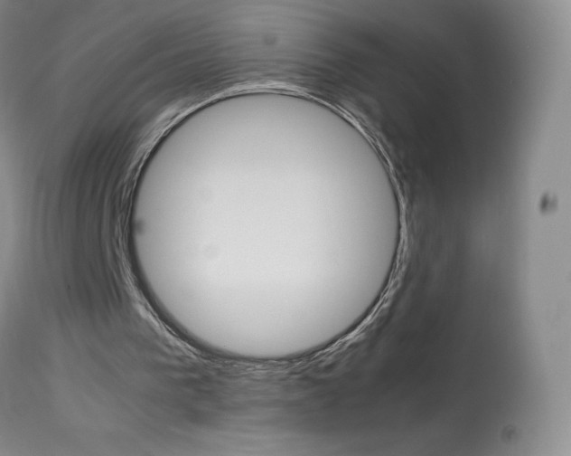 X0000114140193200910081034