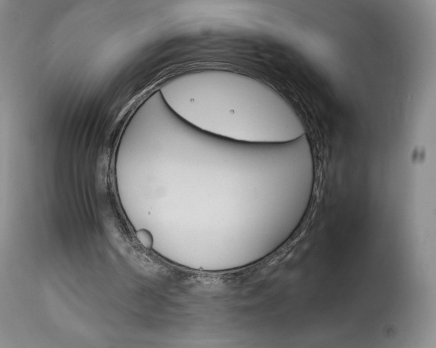 X0000114140194200910081034