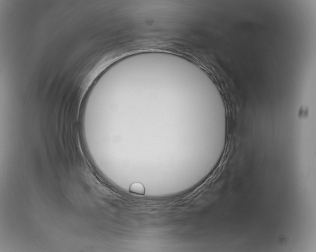 X0000114140195200910081034