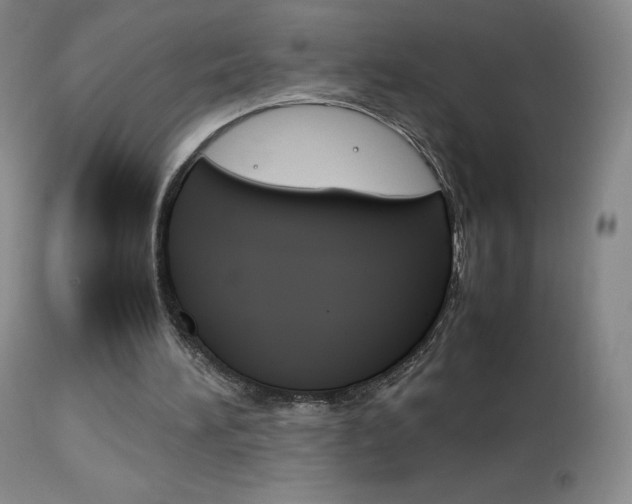 X0000114140196200910081034