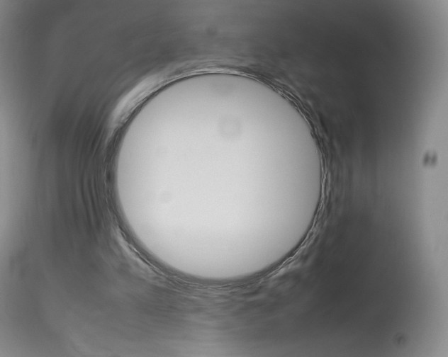 X0000114140197200910081034