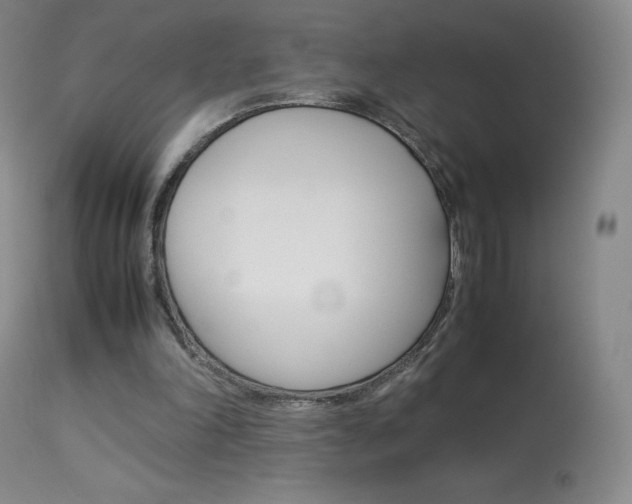 X0000114140198200910081034