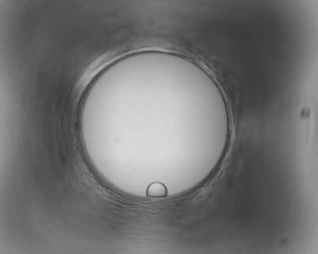 X0000114140199200910081034