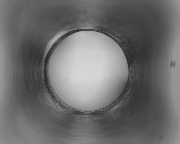 X0000114140200200910081034