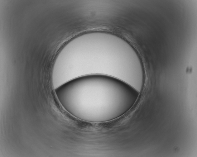 X0000114140201200910081034