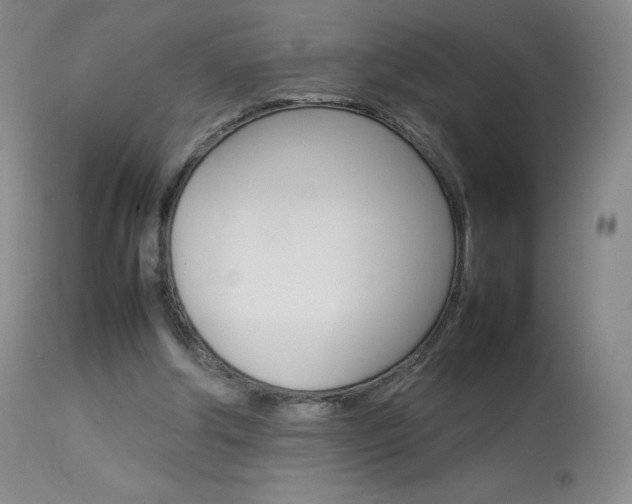 X0000114140202200910081034