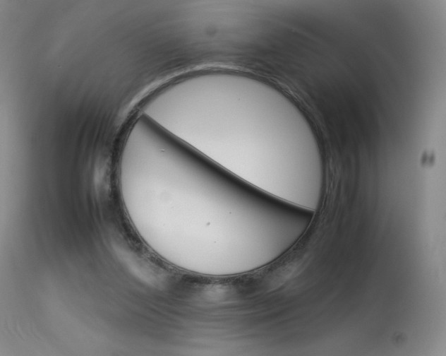 X0000114140204200910081034