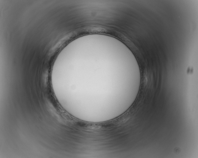 X0000114140206200910081034