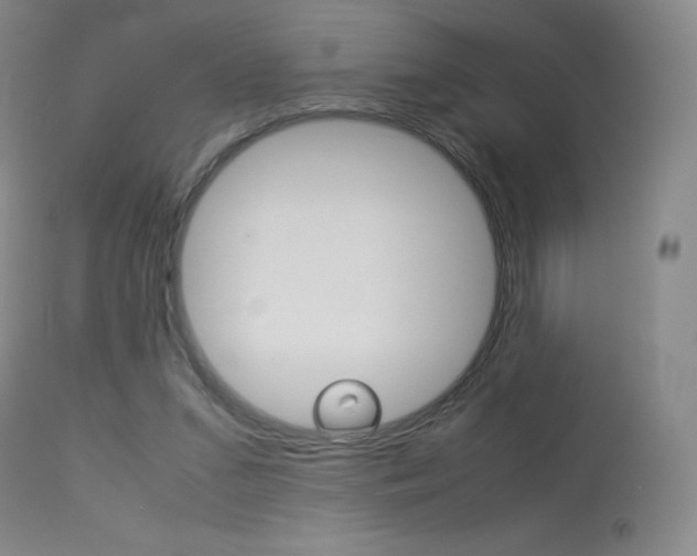 X0000114140207200910081034