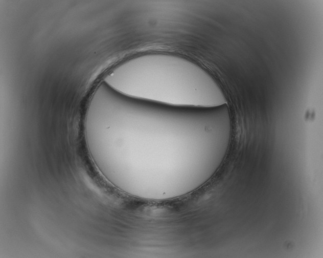 X0000114140208200910081034