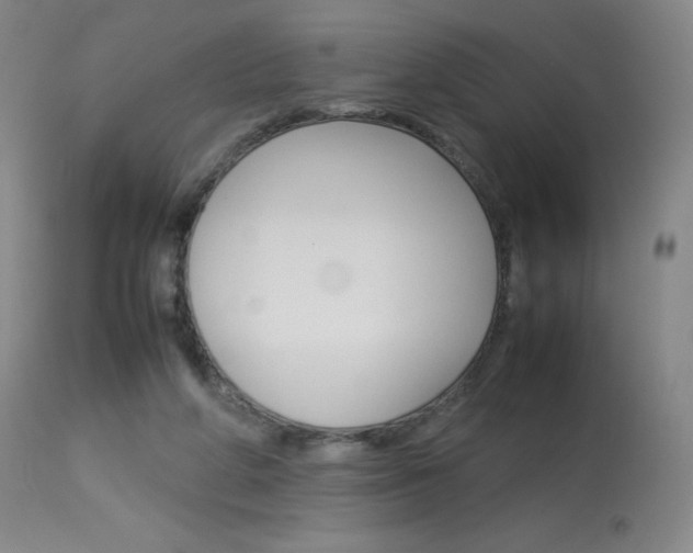 X0000114140210200910081034