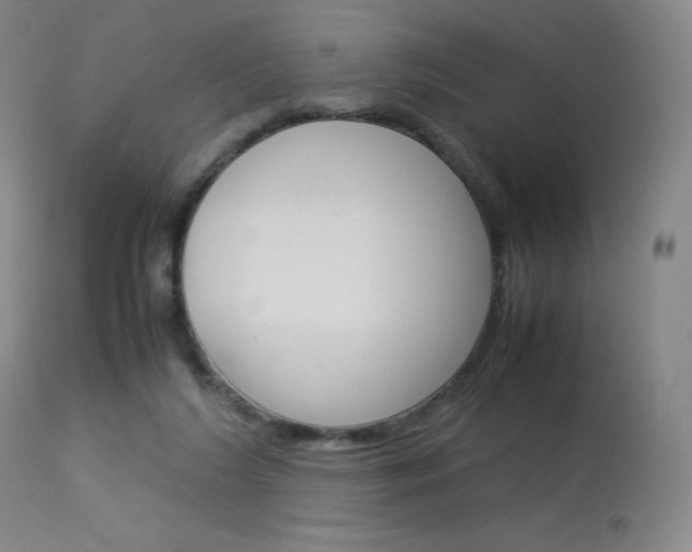 X0000114140212200910081034